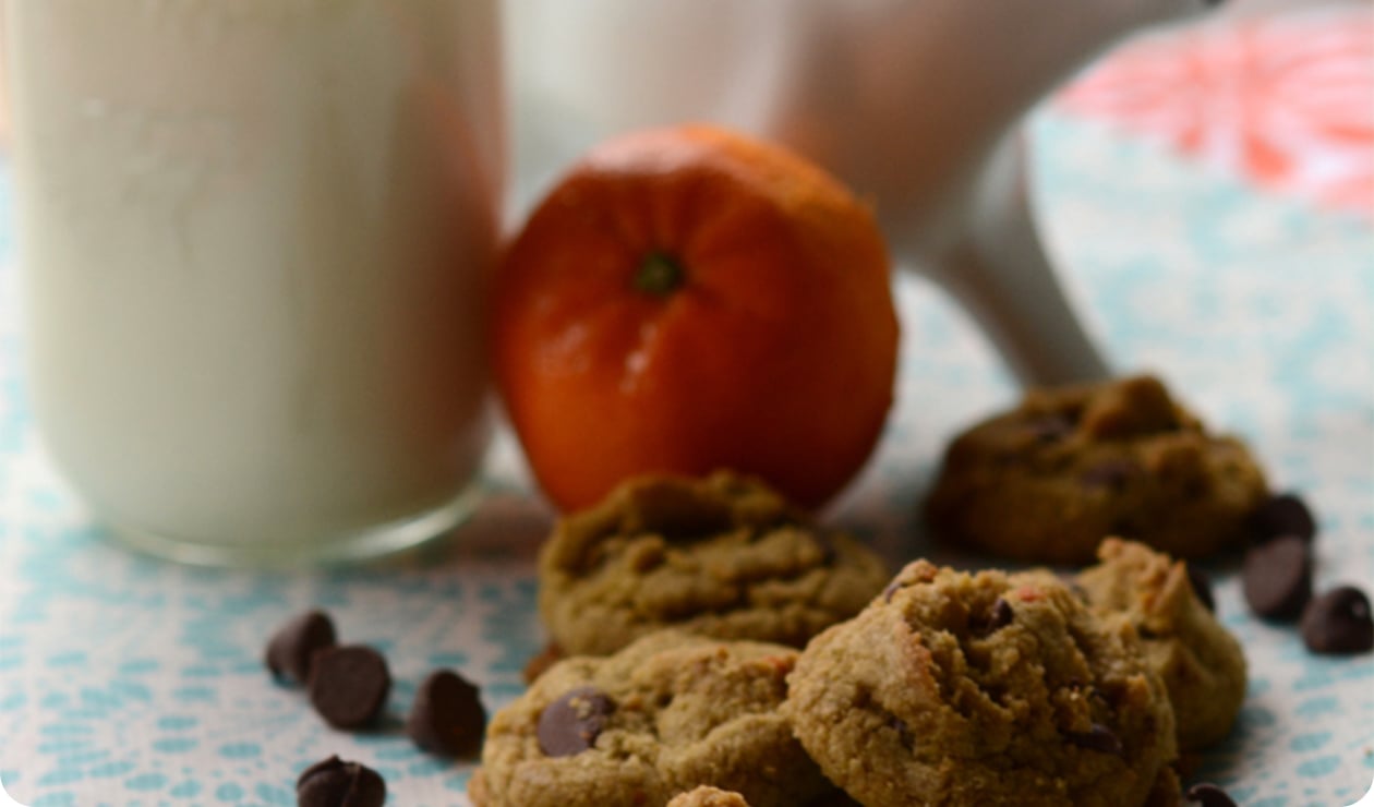 Orange Chocolate Chip | Lady Gray