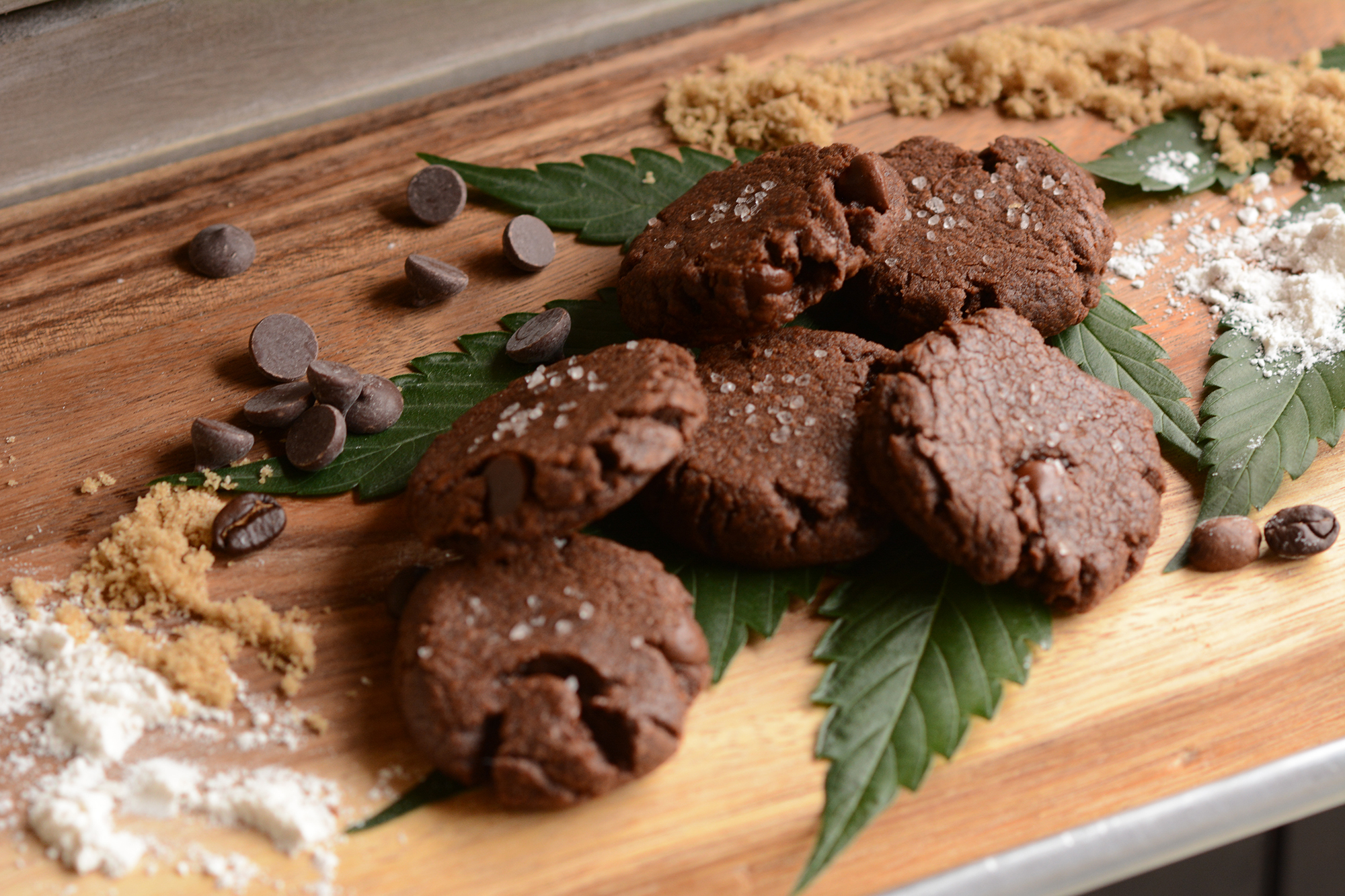 Mocha Chocolate Chunk | Lady Gray
